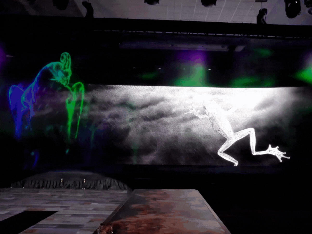The Immersive Duo: Projection Mapping Combined with LED Walls.