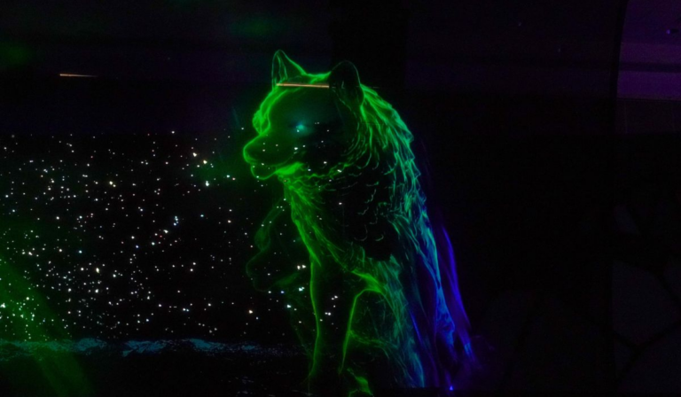 Go2-Productions-Aurora-Spirits-Holographic-Projection-Wolf-768x448 Audio Visual Content for Conferences and Corporate Events